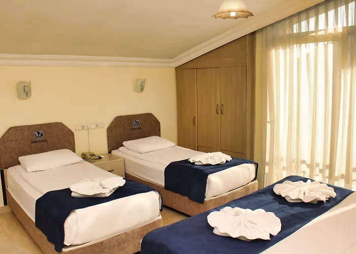 Hotel Berrak Su 3*